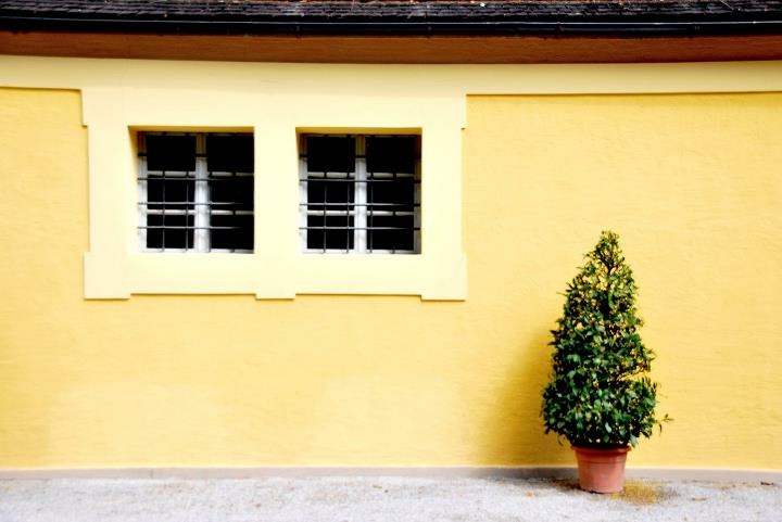 29836835760_c8f2612810_o