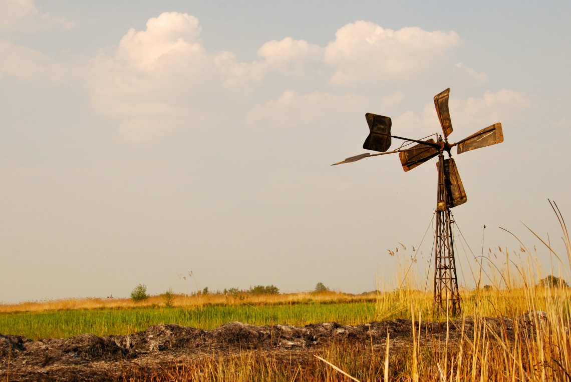 6967558942_2344fbd4ce_o