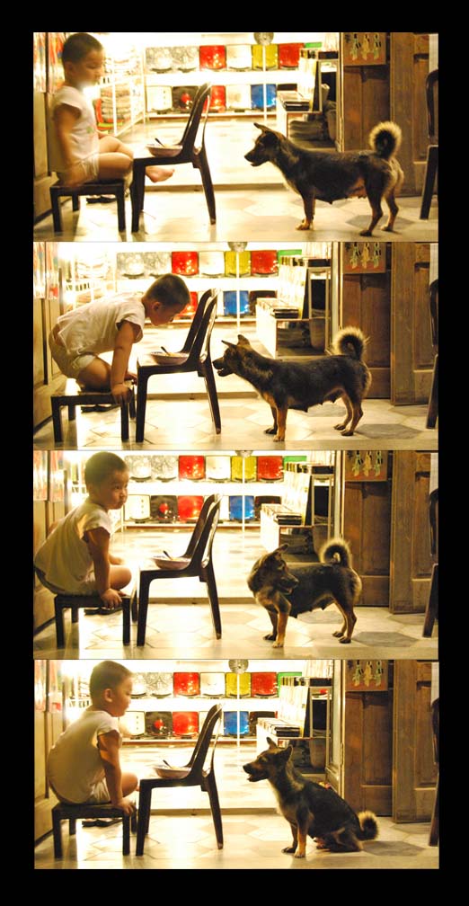 7745554278_1a9ffbf2f7_o