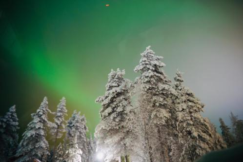 WhatsApp Image 2019-06-13 at 10.11.58 AM