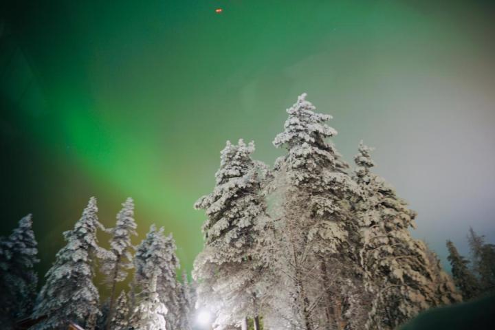 Chasing Northern Light