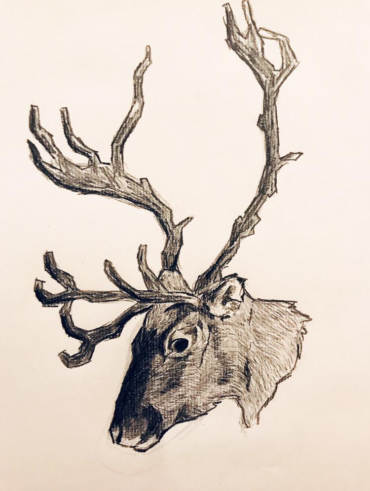 WhatsApp Image 2019-10-03 at 10.05.58 AM