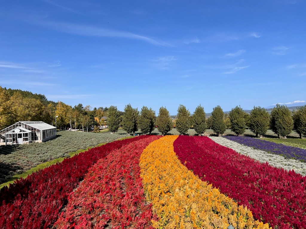 Japan Nostalgia: Hokkaido